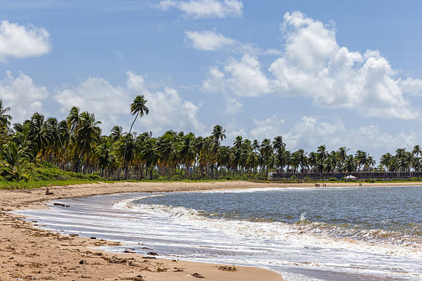istock Brazilian Coast LandScape 2222703753
