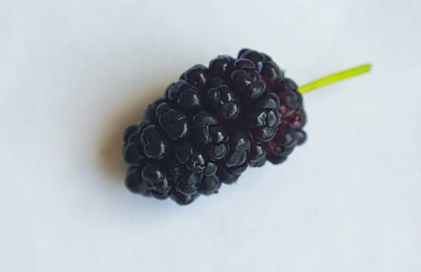 Macro image of a red mulberry fruit on a white background