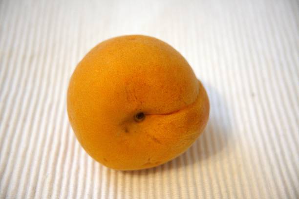 One whole apricot fruit  close up with white background.