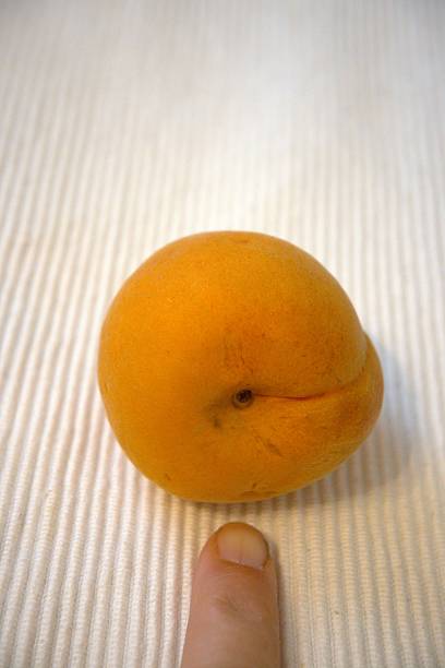 One whole apricot fruit in hand close up with white background.