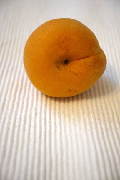 One whole apricot fruit  close up with white background.