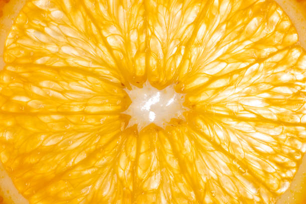 photograph shows the surface details of a halved orange, studio light from behind.