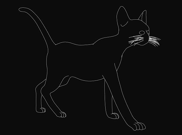 istock A black and white drawing of a walking cat outlined in white against a dark background, with detailed fur and expressive features clearly visible. The minimalist style highlights the cat's graceful. 2222710909