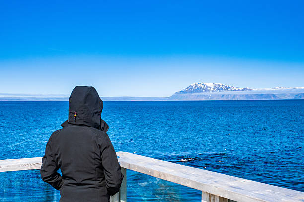 istock Anonymous adventurer observing mountains on northern Iceland 2222713287