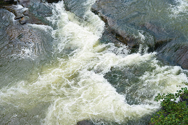 istock Closeup of powerful waterfall, fast river rushing over mossy rocks in mountain stream scenery 2222713987