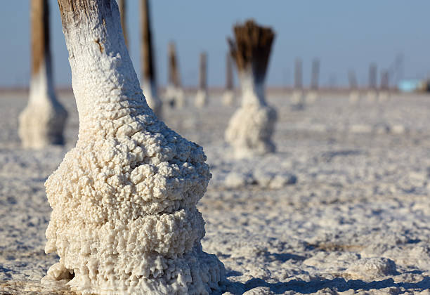 Food salt (sodium chloride) production. Open-pit mining of sodium chloride food salt, salt deposit in a salt lake. Baskunchak lake, Astrakhan region, Russia