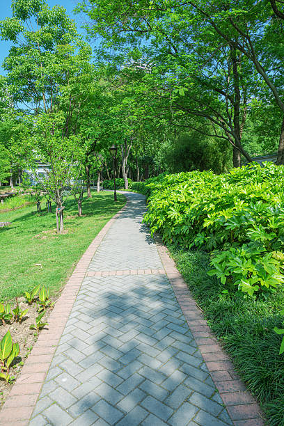 istock Curved footpath through the green city park 2222716049
