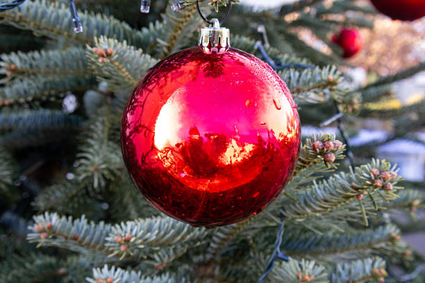 istock Shiny red christmas ball hanging on a christmas tree branch 2222718377