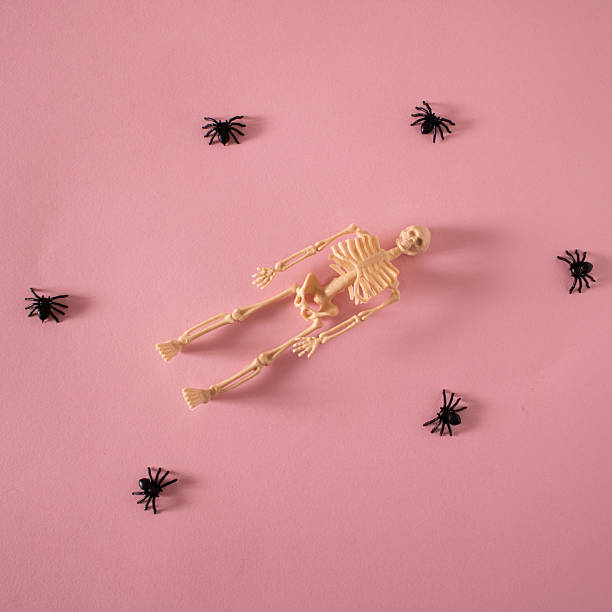 istock Halloween atmosphere decorated with small black spiders and a human skeleton 2222719745