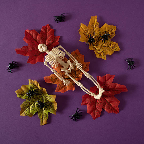 istock A human skeleton rests on fallen autumn leaves, surrounded by small black spiders. 2222719832