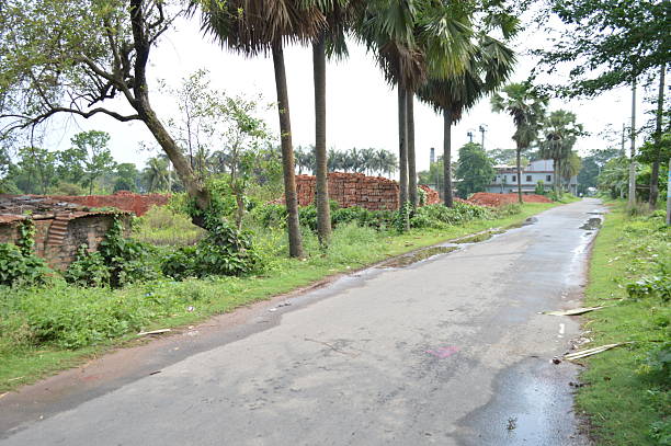 istock peaceful rural road surrounded by green trees and natural scenery 2222723863