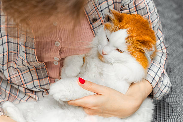 istock woman holding a cat in her arms. 2222729022
