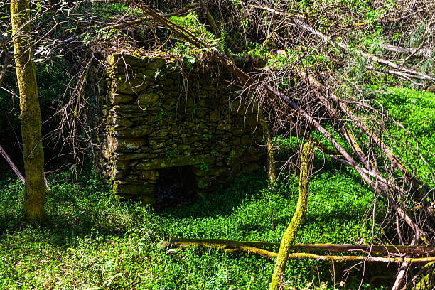 istock A moss-covered stone structure nestled in a lush, green forest 2222737075
