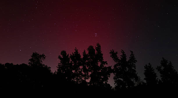istock Glowing crimson aurora borealis behind silhouetted trees 2222741030
