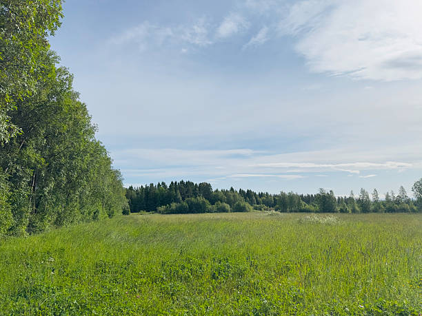 istock Green field and trees under a bright blue sky with fluffy white clouds on a summer day. 2222746621