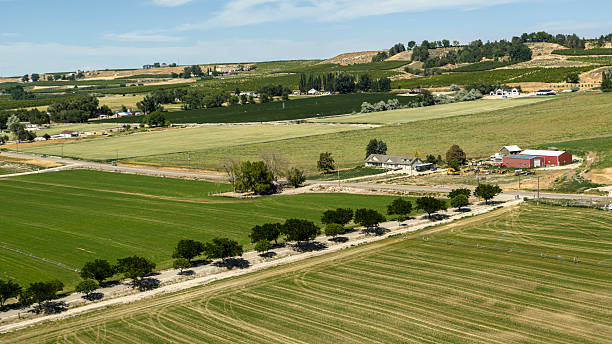 istock Farmhouse amid patchwork fields. Tree-lined country road connects agricultural properties in Canyon County, Idaho. 2222752027