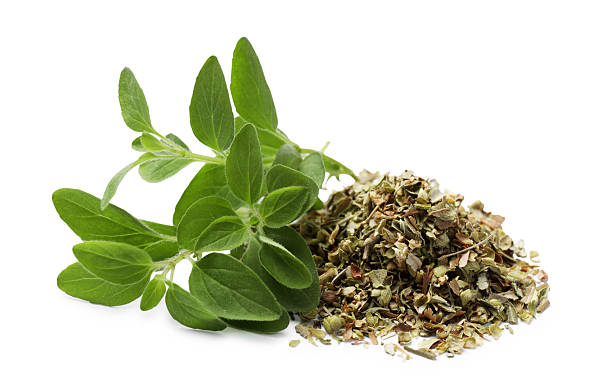 istock Dried oregano and green leaves isolated on white 2222753684