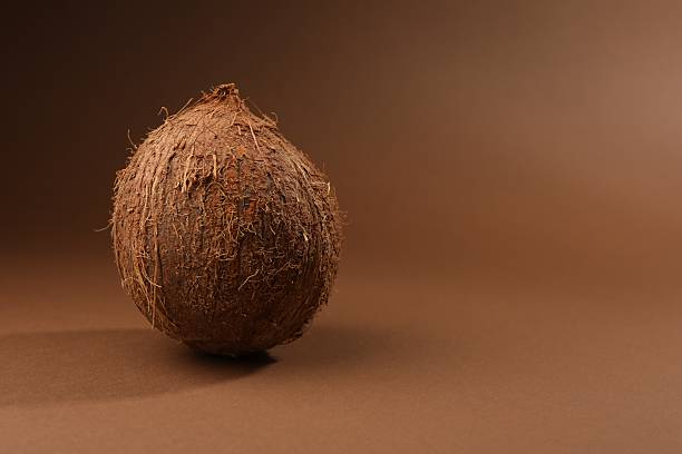 istock One whole coconut in shell on brown background, space for text 2222754026