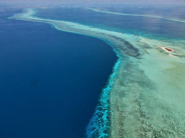 istock Drone shot from Tubbataha-Reef including small island 2222754094