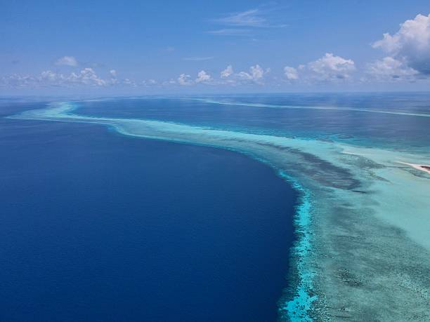 istock Drone shot from Tubbataha-Reef 2222754104