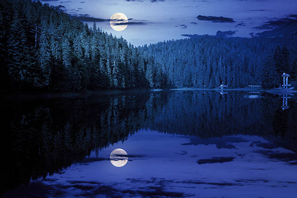 istock scenic landscape with lake among coniferous forest at night 2222755609