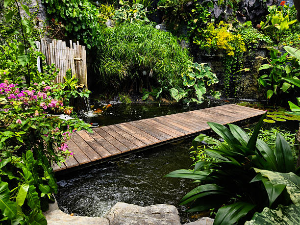 a pond in a residential yard complete with koi and waterfallClick on the thumbnail to discover more photos of backyard landscaping and ponds. Thanks!