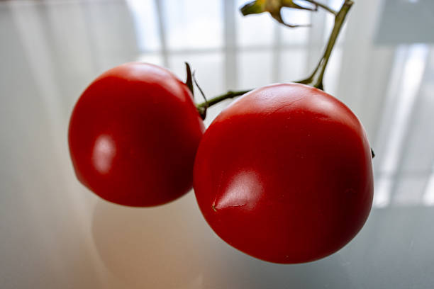 A lot of chopped tomatoes.