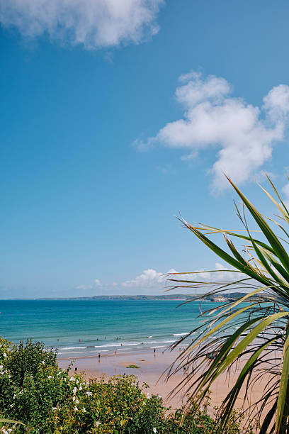 istock Views over Newquay, Towan Beach on a sunny June afternoon. 2222766059