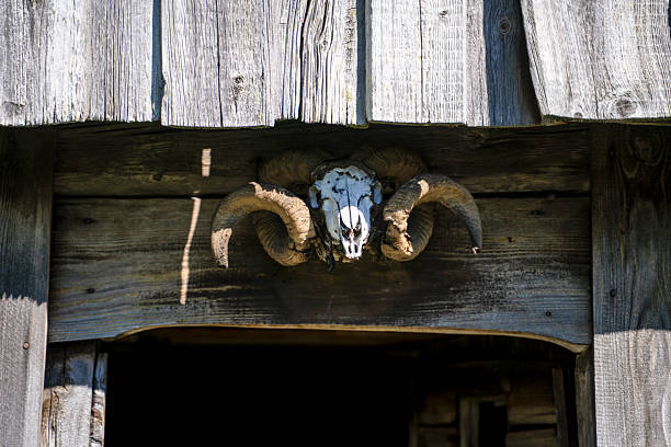 Animal skull and horns above doorway, Nords traditional cabin