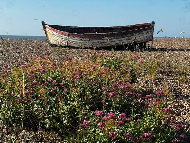 istock Boat in Aldeburgh 2222782767