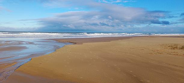 istock beach photography on a beautiful day 2222783398
