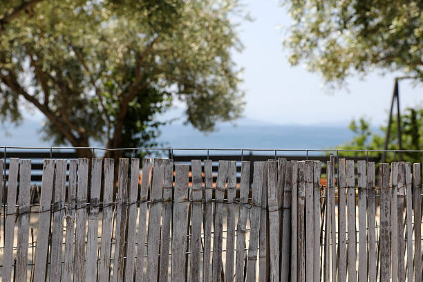 Rustic Weathered Wooden Fence In The Foreground With Olive Trees And A Sea View In The Background. The Scene Evokes A Mediterranean Coastal Ambience, Combining Natural Elements, Shade, And A Peaceful Holiday Vibe.