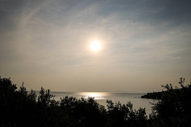istock Peaceful Sunset Over The Sea With Olive Trees Silhouettes 2222786021
