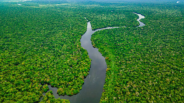 istock Aerial View of Amazon Rainforest 2222788827