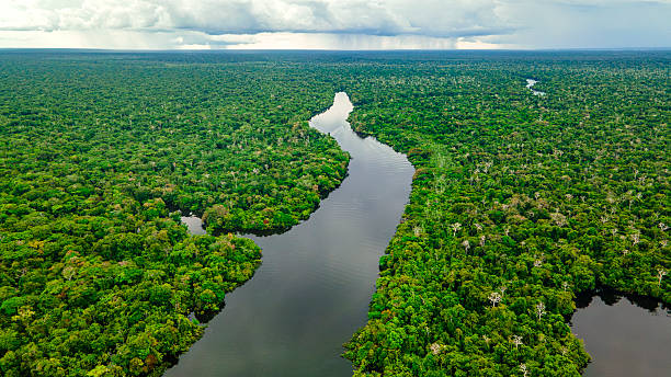 istock Aerial View of the Amazon Rainforest 2222788838