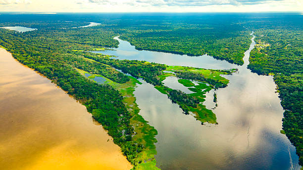 istock Aerial View of Amazonian Landscape 2222788879