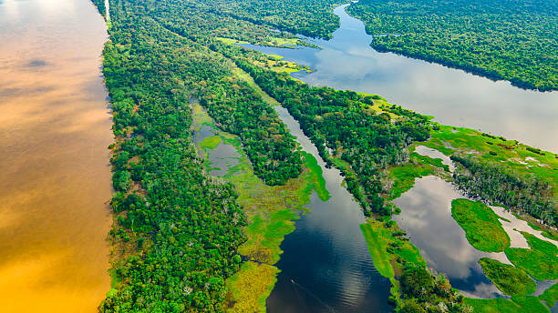 istock Aerial View of Amazon Rainforest and Rivers 2222788888