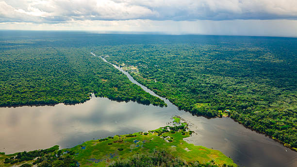istock Aerial View of Amazon Rainforest in Colombia 2222788893