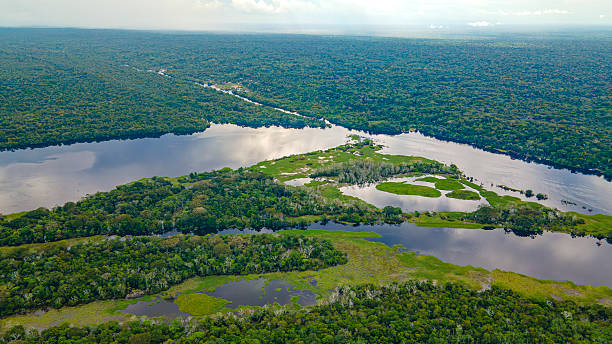 istock Aerial View of the Amazon Rainforest 2222788970