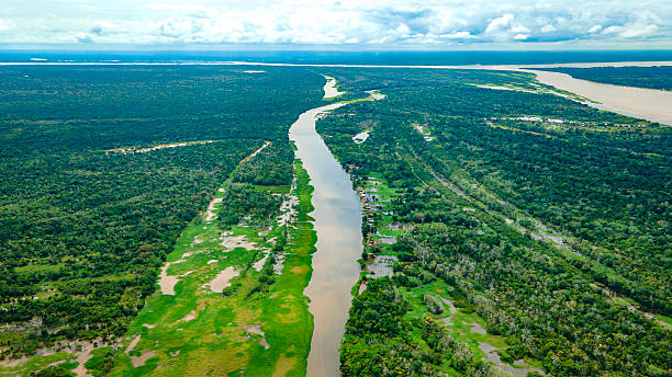 istock Aerial View of Amazon River in Colombia 2222789011