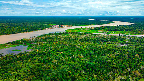 istock Aerial View of the Amazon Rainforest 2222789020