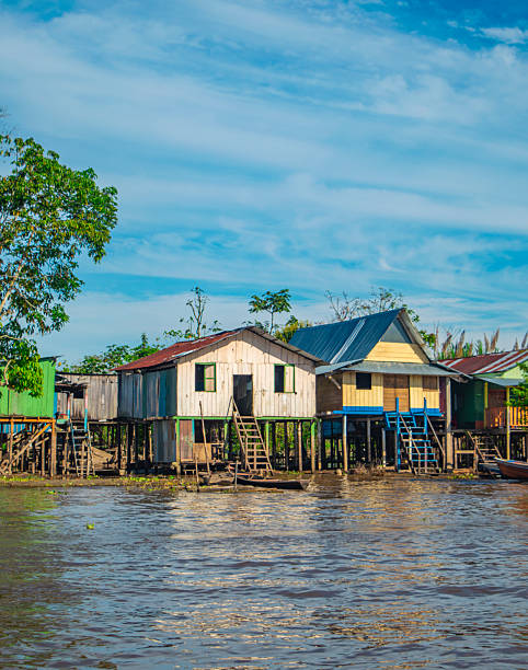 istock Colorful Stilt Houses in the Amazon 2222790060