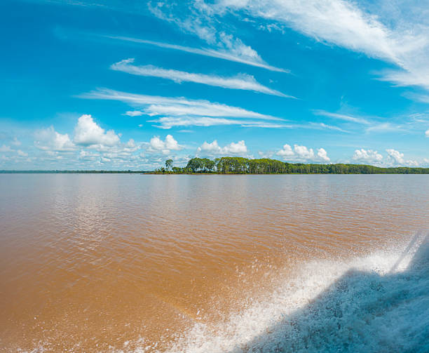 istock Scenic View of the Amazon River 2222790684