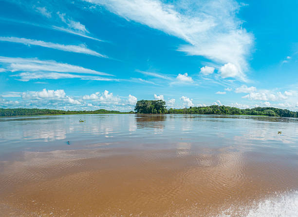 istock Scenic River View in Amazonas, Colombia 2222790713