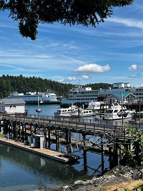 istock The harbor at Friday Harbor, Washington 2222791188