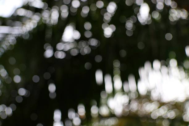 istock Abstract Bokeh of Light Spots Cascading Through Dark Green Foliage Backdrop 2222802434