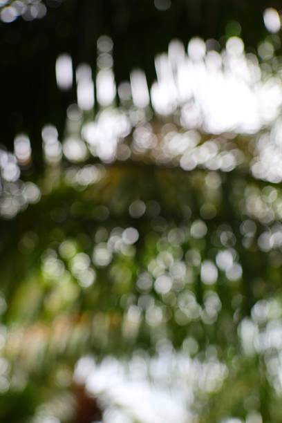 istock Nature's Serenity Abstract Light and Green Tones Creating an Ethereal Atmosphere in a Garden 2222802454