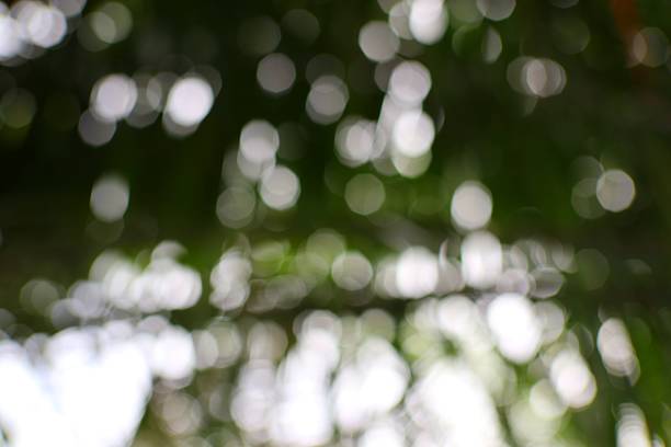 istock Ethereal bokeh of sunlight filtering through a lush canopy creating a tranquil and dreamy atmosphere 2222802468