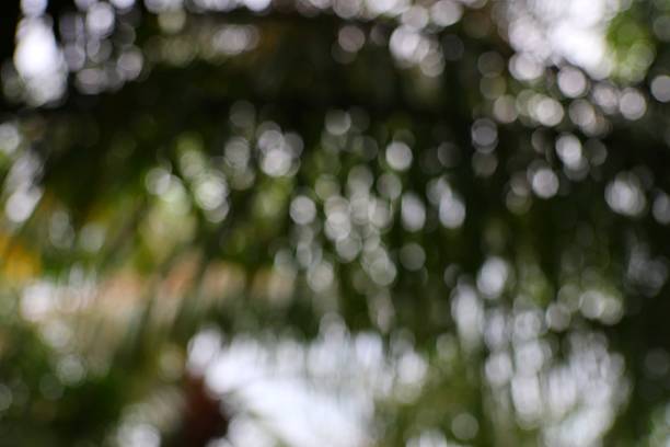 Abstract Nature's Dance A Symphony of Blurring Light and Color, evoking ethereal and dreamy sensations for visual experiences