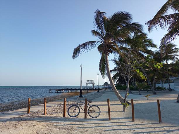 istock Palm-fringed beach with bicycle in Ambergris Caye, Belize 2222805316